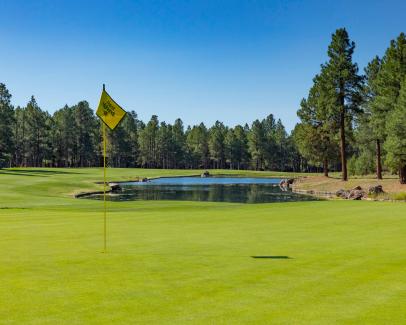 Forest Highlands Golf Club: Meadow
