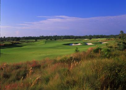 Golf Club of the Everglades: Everglades