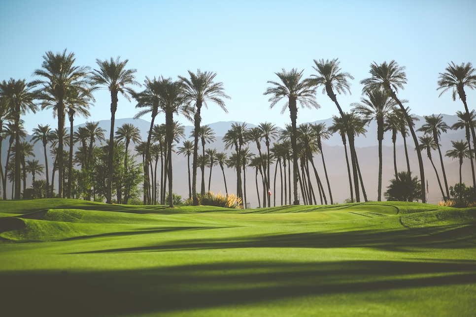 the-palms-golf-club-18749