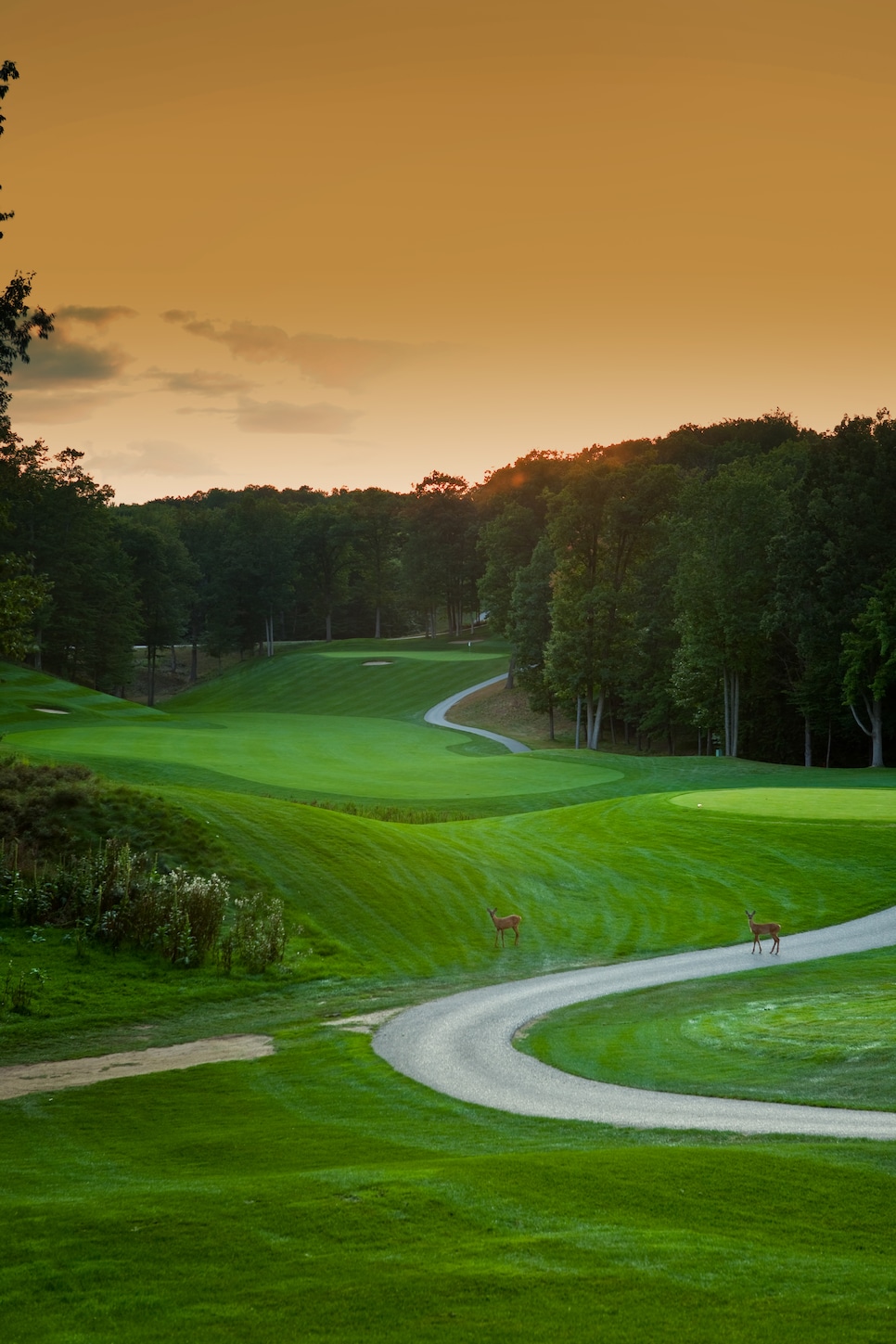 st-ives-golf-club-third-hole-17237