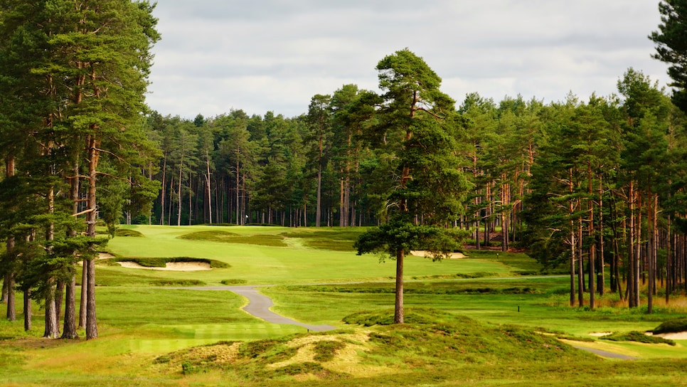 Swinley Forest — Harry Colt heathland in Windsor Great Park
