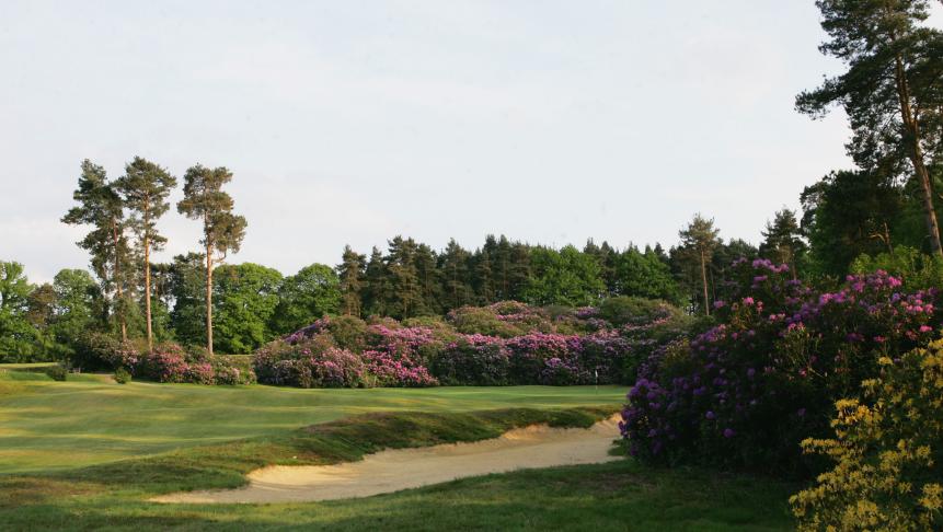 32. (25) Swinley Forest Golf Club