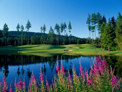Gold Mountain Golf Club: Olympic