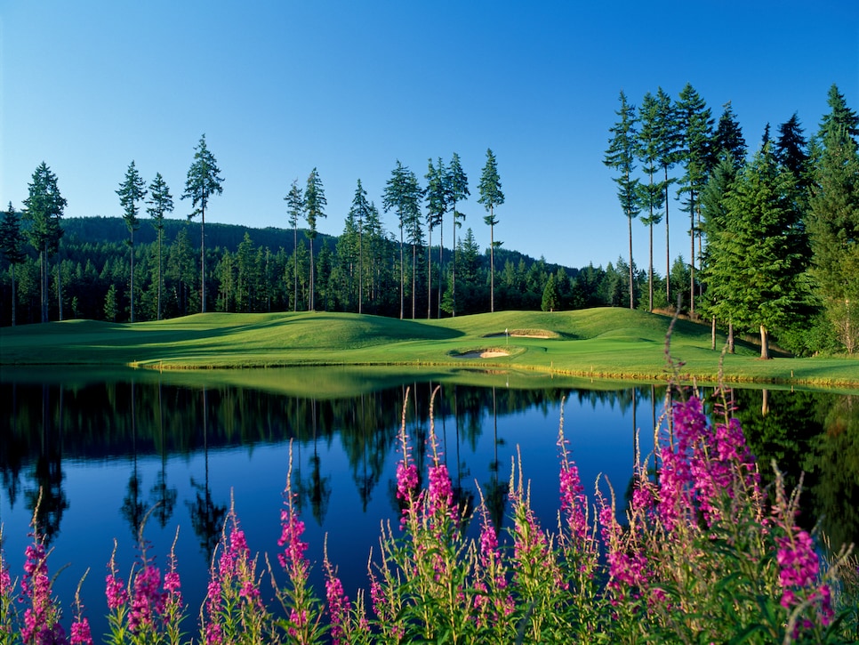 gold-mountain-golf-club-olympic-club-sixteenth-hole-11749