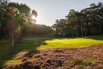 Hamburger Golf Club: Falkenstein