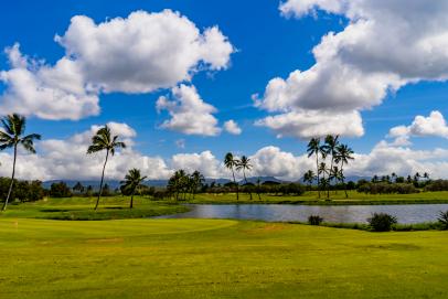 Hawaii Prince Golf Club: A Course