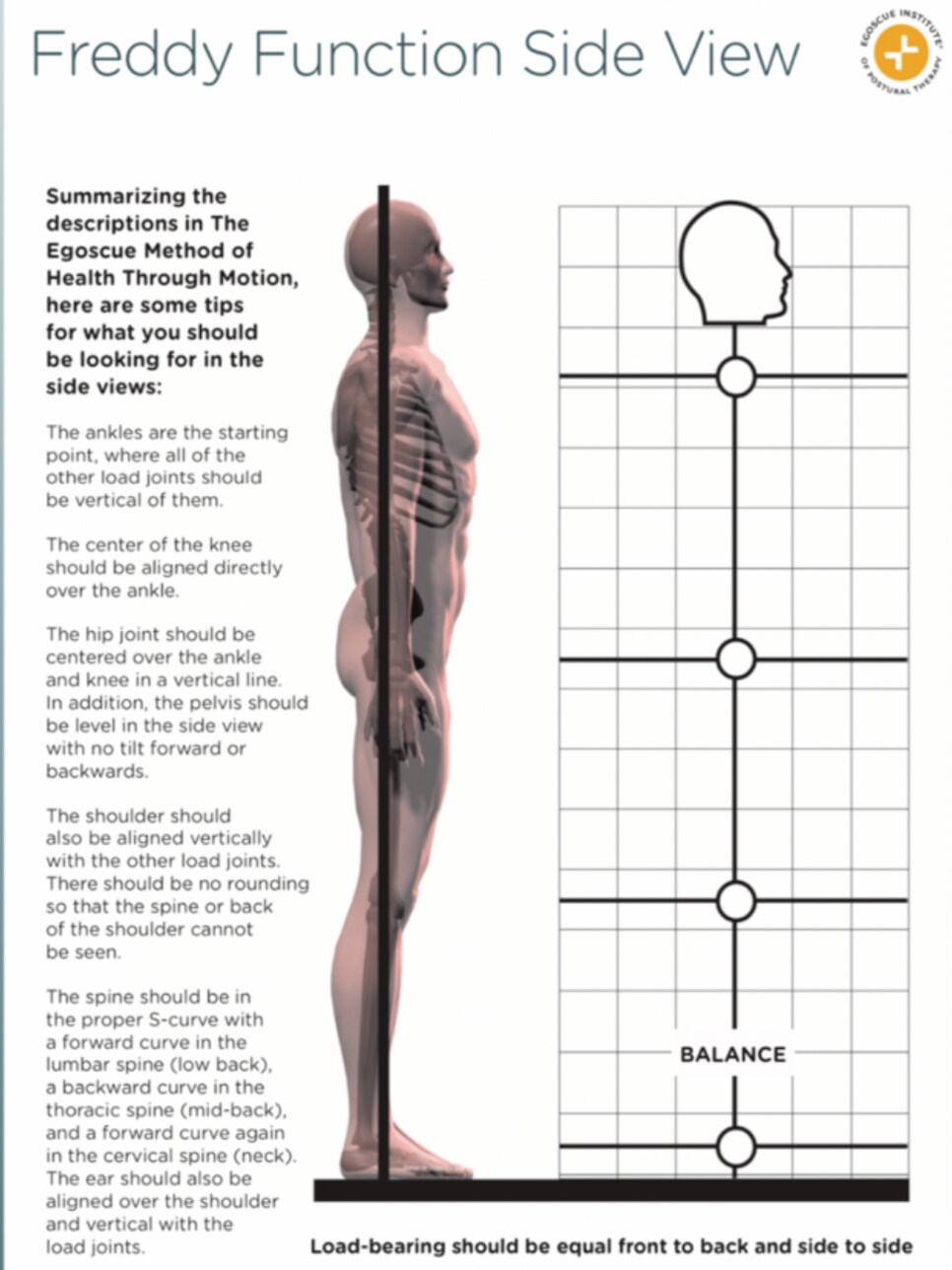 Function360 on X: By placing a towel behind your lower back, you are  restoring the lower back curve, which results in sitting more upright and  your shoulders aren't rolled forward. This can