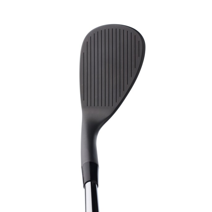 Cobra Snakebite_Wedges_Address.jpg