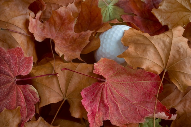 Yes, the ‘leaf rule’ is actually a real thing. Here’s what the rules say about it