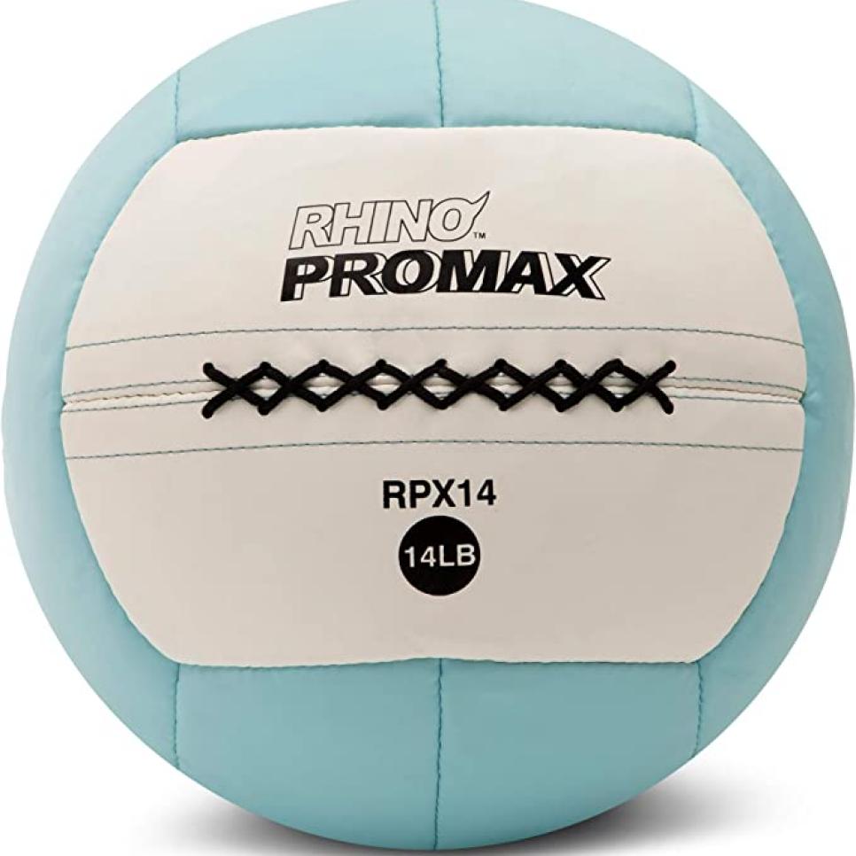rx-amazonhampion-sports-rhino-promax-slam-balls.jpeg