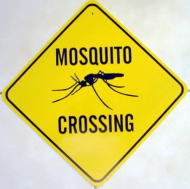 /content/dam/images/golfdigest/unsized/2015/07/20/55ad75a6b01eefe207f6bc13_golf-instruction-blogs-theinstructionblog-assets_c-2012-08-Mosquito-Crossing-photo-001-thumb-378x375-75142.gif