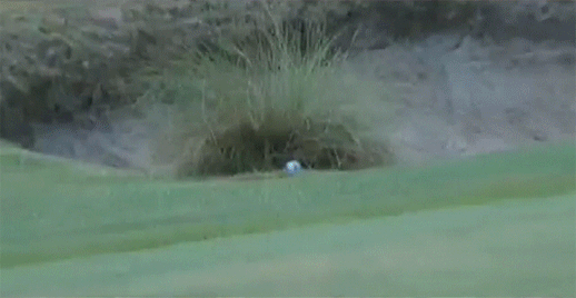 /content/dam/images/golfdigest/unsized/2015/07/20/55ad79a5b01eefe207f6eb6c_blogs-the-loop-blog-duke-ball-518.gif